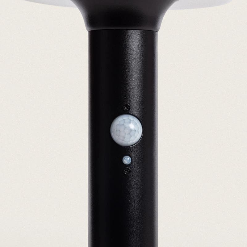 Balise LED Solaire 45 cm 6 W + détecteur PIR-2